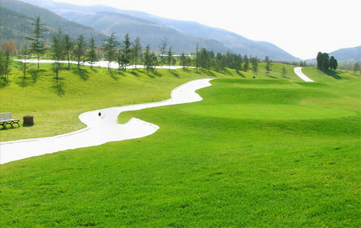 園林綠化工程的施工要求